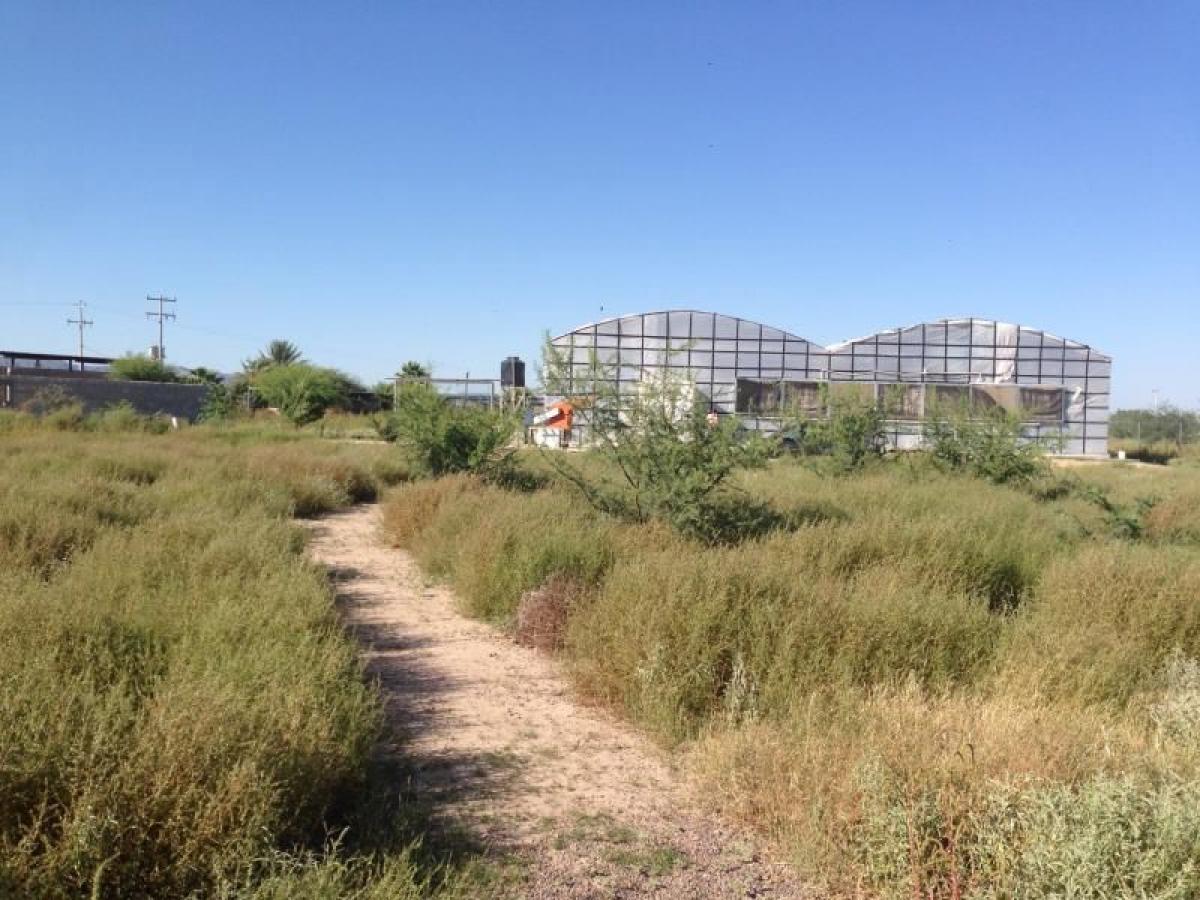 Studio in Playa Vicente, Mexico, Nr. 183501