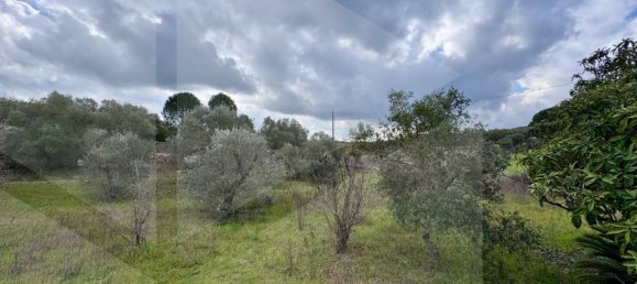 Вилла с 3 комнатами в Остуни, Италия № 23060 13