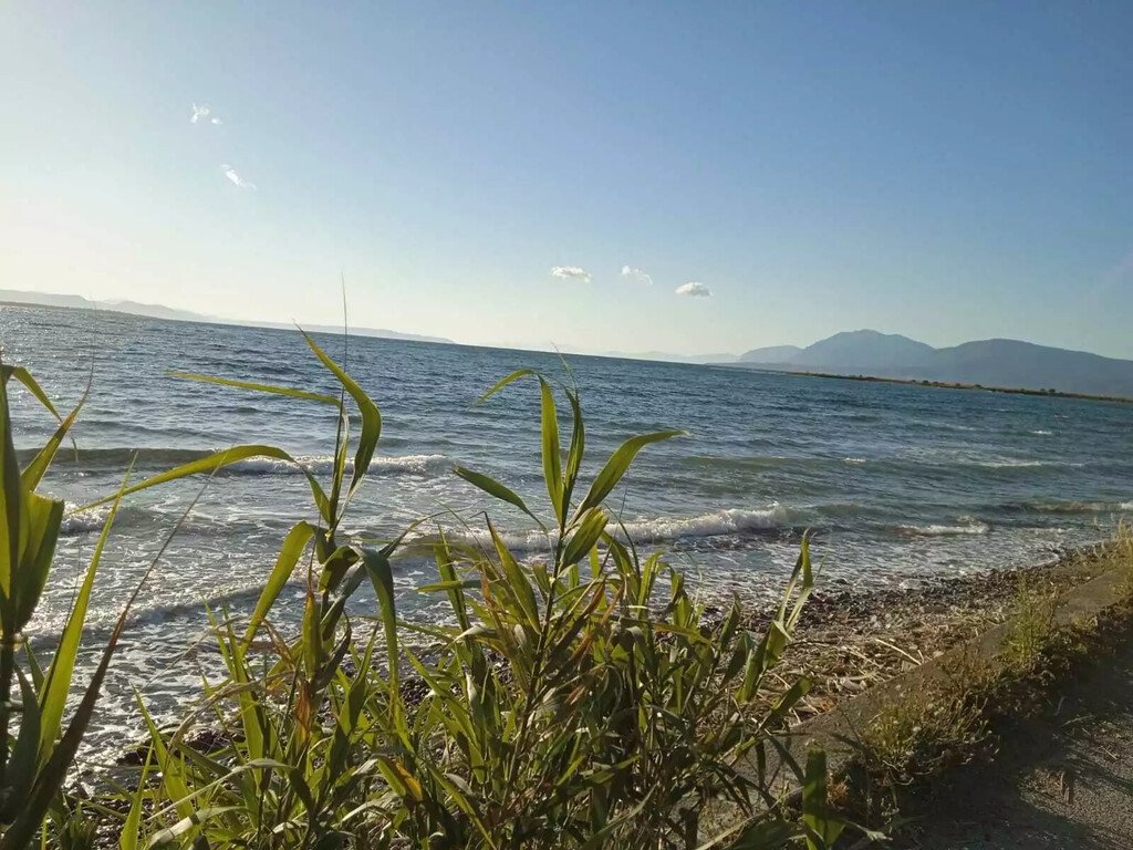 Отель, гостиница 2750м² в Халкида, Греция № 2209