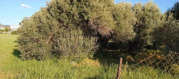 Отель, гостиница 2750м² в Халкида, Греция № 2209 5