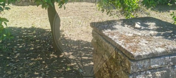 3 bedrooms House in Vila Nova de Famalicao, Portugal No. 39859 6