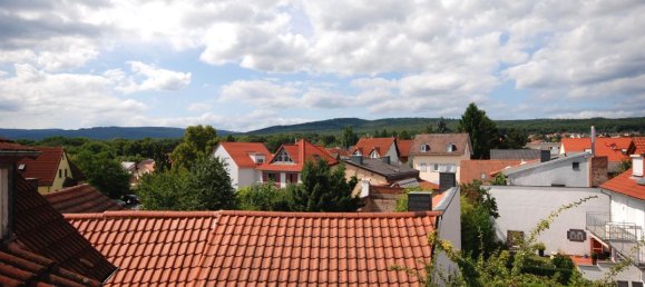 3-Zimmer Gewerbliche Immobilie in Hochtaunuskreis, Germany, Nr. 108312 13