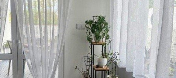 4-Zimmer Bungalow in Asparn an der Zaya, Austria, Nr. 130067 8