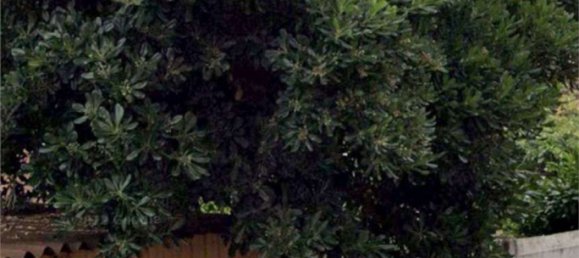 1 bedroom Apartment in Paderno Dugnano, Italy No. 370085 16