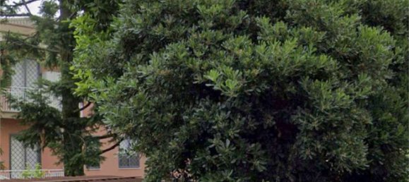 1 bedroom Apartment in Paderno Dugnano, Italy No. 370085 12