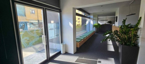 Oficina en Wels, Austria 245 m² No. 195398 3