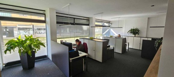 Oficina en Wels, Austria 245 m² No. 195398 8