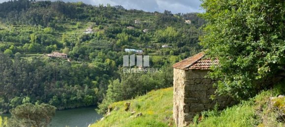 Terrain à Marco de Canaveses, Portugal 6000m² No. 51608 13