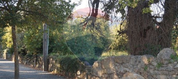 1 bedroom House in Tondela, Portugal No. 62092 10