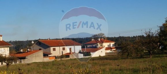 1 bedroom House in Tondela, Portugal No. 62092 4