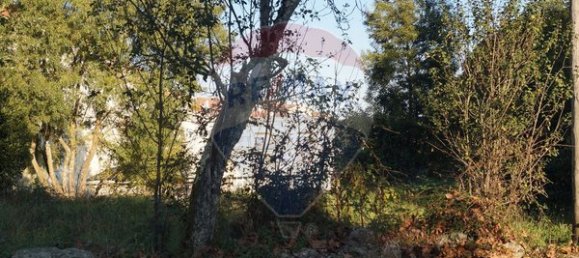 1 bedroom House in Tondela, Portugal No. 62092 14