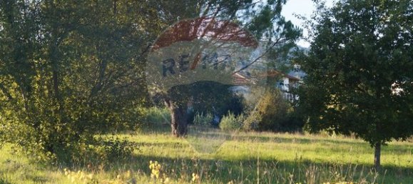 1 bedroom House in Tondela, Portugal No. 62092 5