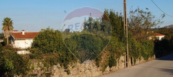 1 bedroom House in Tondela, Portugal No. 62092 6