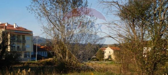 1 bedroom House in Tondela, Portugal No. 62092 16