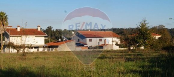 1 bedroom House in Tondela, Portugal No. 62092 13