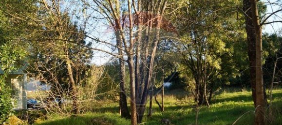 1 bedroom House in Tondela, Portugal No. 62092 7