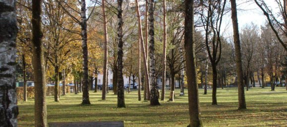 1 bedroom Office in Wels, Austria No. 91390 2