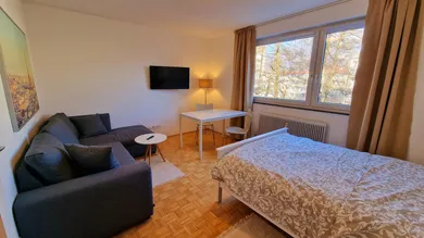 Studio in Salzburg, Austria, Nr. 146564