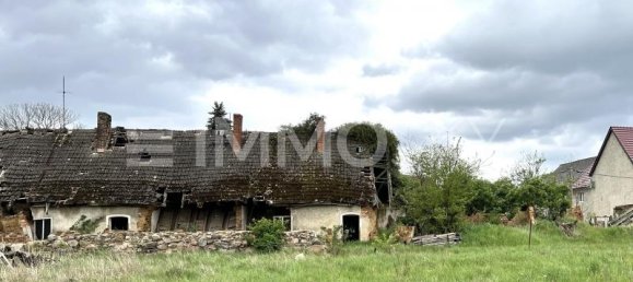 Terreno en Teltow-Flaming, Germany No. 80506 3