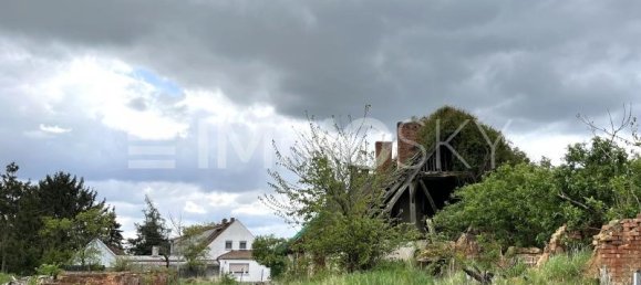 Terreno en Teltow-Flaming, Germany No. 80506 4