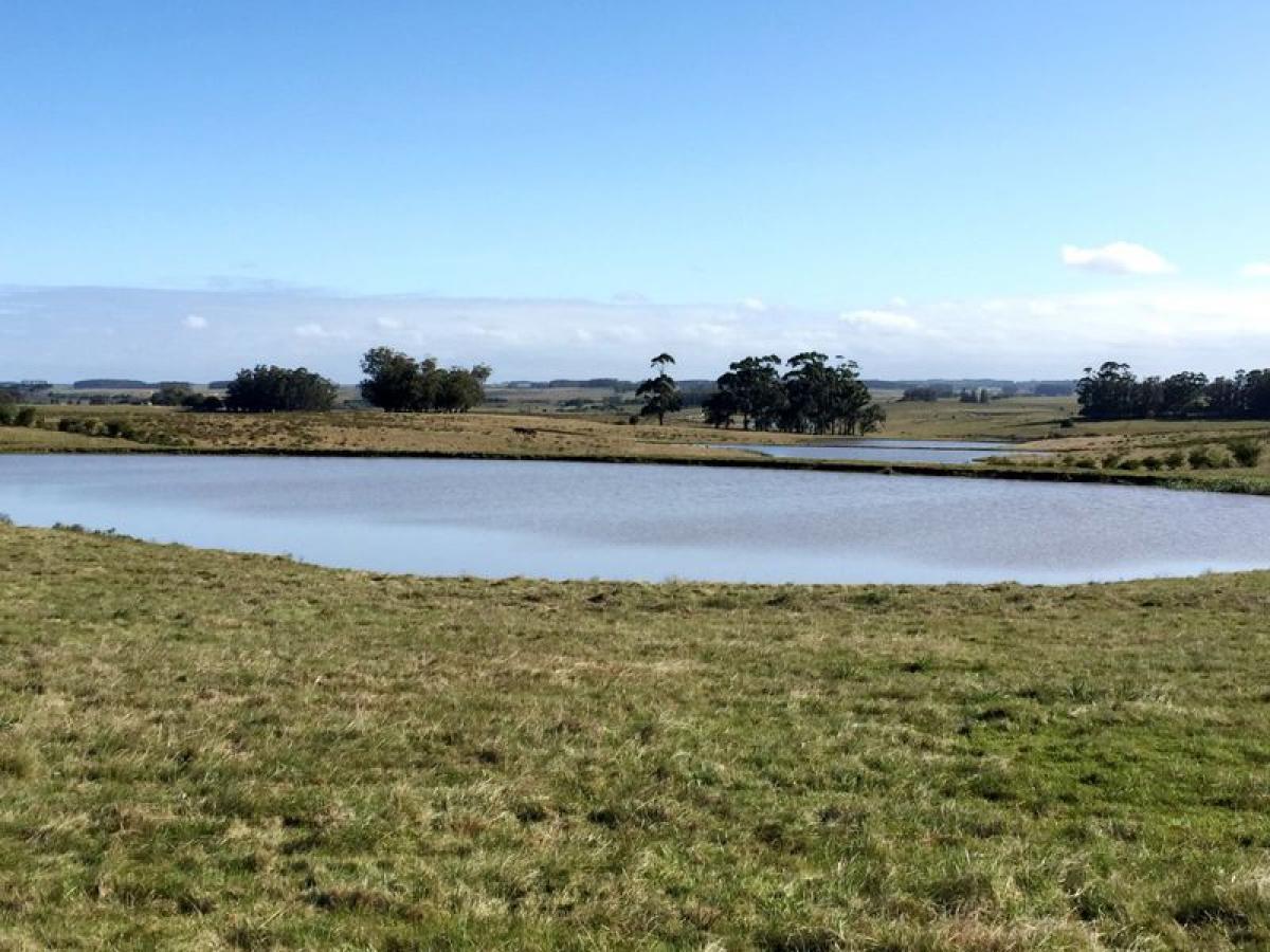  Farm in Maldonado, Uruguay No. 15020