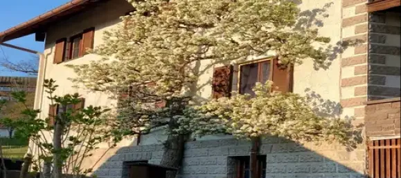 9غرفة منزل في Traunstein, Germany رقم 163355 4