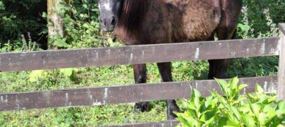 4 rooms House in Golling an der Salzach, Austria No. 256755 6