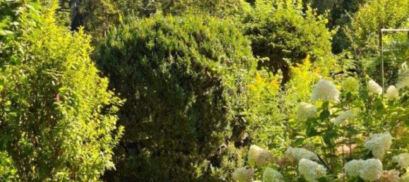 4 rooms House in Golling an der Salzach, Austria No. 256755 10