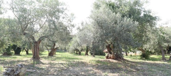 5 bedrooms House in Pianella, Italy No. 371374 6