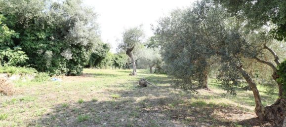 5 bedrooms House in Pianella, Italy No. 371374 5