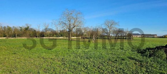 4 Schlafzimmer Haus in Cherves, France, Nr. 204427 9