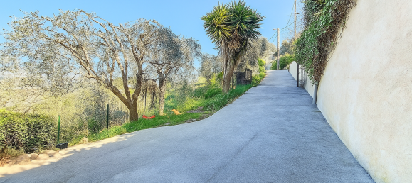 3 Schlafzimmer Villa in Alpes-Maritimes, France, Nr. 328083 14