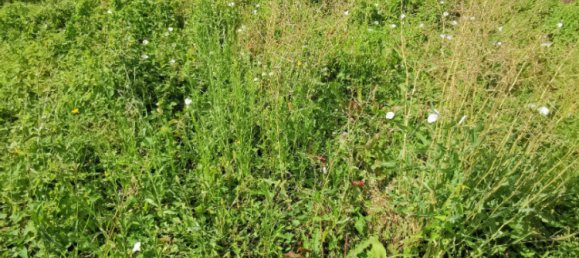 473m² Land in Saint-Georges-d'Esperanche, France No. 107359 2