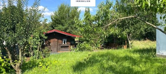 8 غرف نوم بناية في Saarbrucken, Germany رقم 58298 19