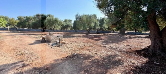 Terreno em Ostuni, Italy N.º 26170 7