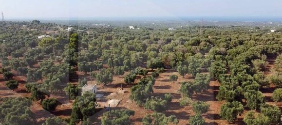 Terreno em Ostuni, Italy N.º 26170 2