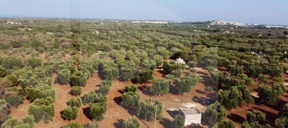 Terreno em Ostuni, Italy N.º 26170 3