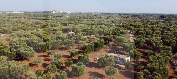 Terreno em Ostuni, Italy N.º 26170 4