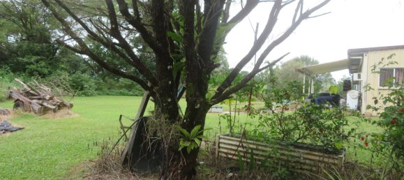 5 غرف نوم منزل في Tully, Australia رقم 494 19