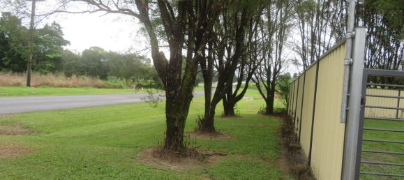 5 غرف نوم منزل في Tully, Australia رقم 494 15