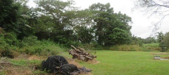 5 غرف نوم منزل في Tully, Australia رقم 494 18