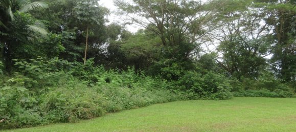 5 غرف نوم منزل في Tully, Australia رقم 494 21