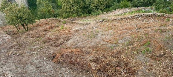 Дом с 3 спальнями в Вила Реал, Португалия № 184326 12