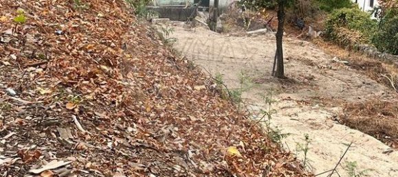 Дом с 3 спальнями в Вила Реал, Португалия № 184326 13