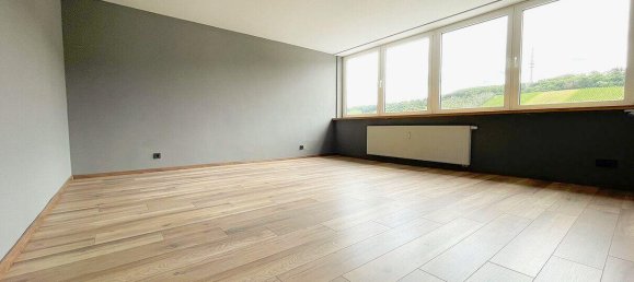 2 غرف نوم بانتهاوس في Trier, Germany رقم 331829 6