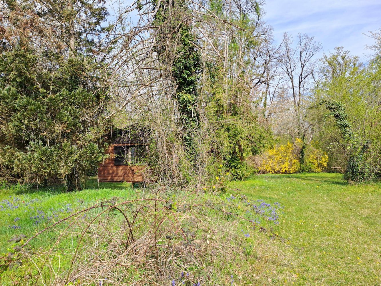 700m² Land in Leonding, Austria No. 163459