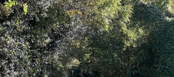 3 Schlafzimmer Haus in Tenterden, United Kingdom, Nr. 10795 21