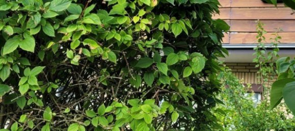 5 bedrooms Townhouse in Dithmarschen, Germany No. 267614 17