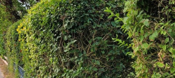 5 bedrooms Townhouse in Dithmarschen, Germany No. 267614 20