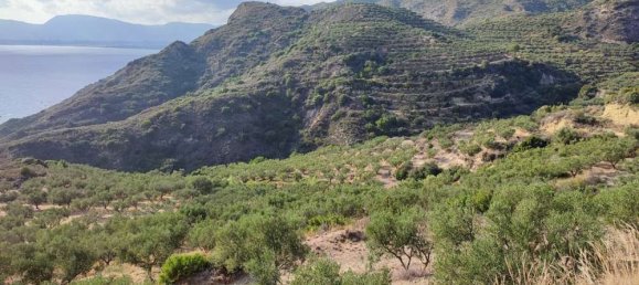  Land in Zakynthos, Greece No. 494 8